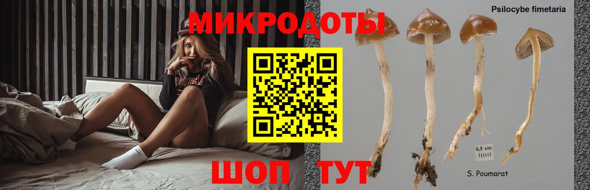Псилоцибиновые грибы мицелий  Псилоцибиновые грибы Psilocybe  Уссурийск  Вход с VPN 